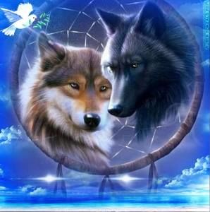 Meet your Posher, Rene